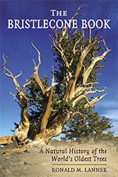 THE BRISTLECONE BOOK: a natural history of the world's oldest trees. by Ronald Lanner. 